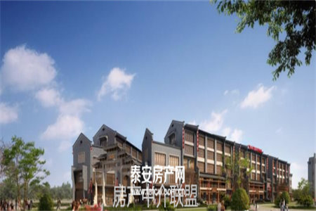 东平明湖学校附近三室两厅带储藏室车位证满五年免高税